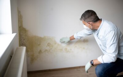 Preventing Mold in Your Home or Office