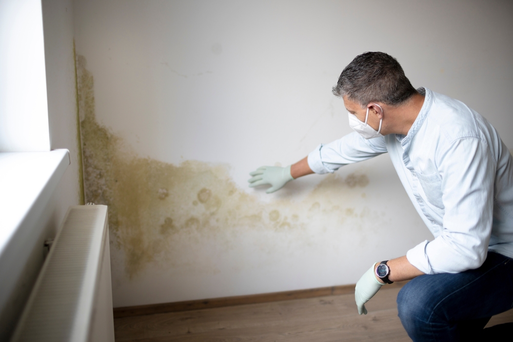 Preventing Mold in Your Home or Office